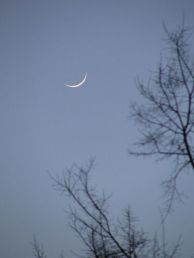 sliver of moon