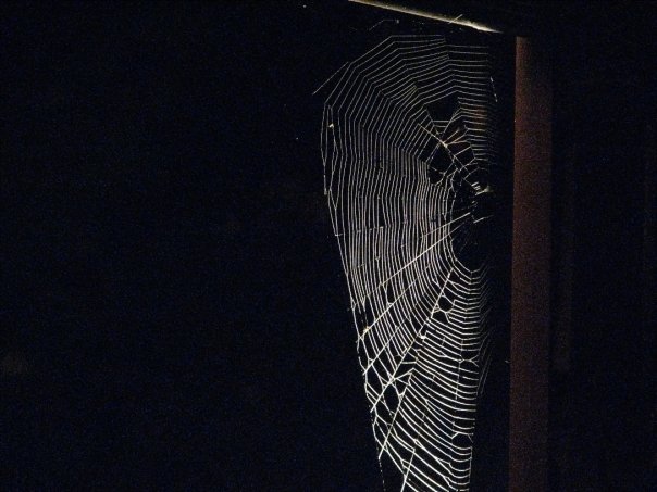 photo by Josh Scholten