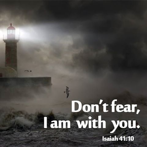 11011188_370396436490037_1686016200761166707_n