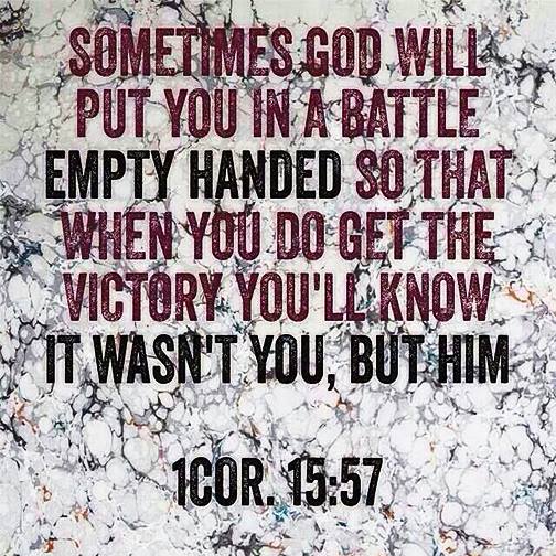 11188473_385544048308609_3551633248010316466_n