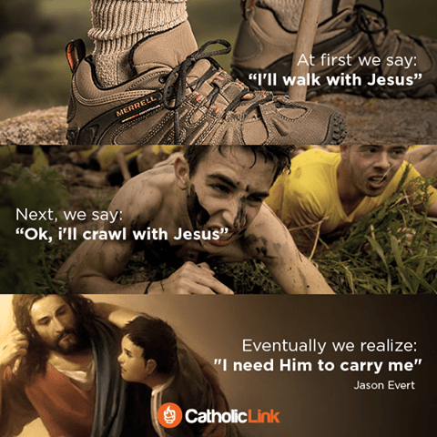 11707548_850261385067356_2495552429751830075_n