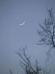 sliver of moon