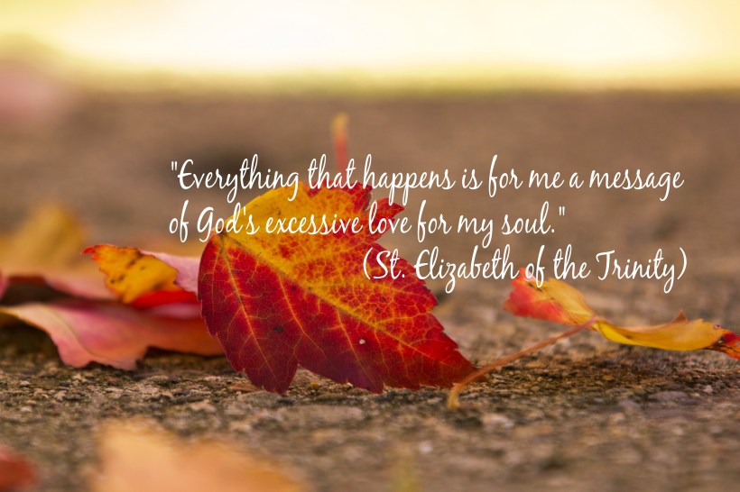 red-maple-leaf_30733318781_o1