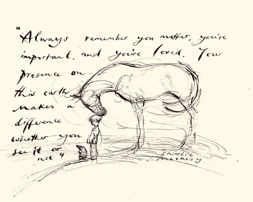 33559744_419505951856587_479275946021486592_n